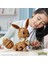 Bfs Nessiworld GMD34 Mega™ Pokémon™ Jumbo Eevee 824 Parça +10 Yaş 5