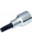 Izeltaş 1/2 Torx Lokma T20 mm 1