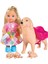 Bfs Evi Köpeği ve 3 Yavrusu SMB-105733072 1