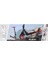 Bfs Evo Flexi 2 Tekerlekli Scooter Kırmızı 4