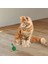 Bfs 2li Rattan Renkli Peluş Tüy Kedi Köpek Oyuncak Yakalama Çiğneme Çıngıraklı Top Oyuncağı 6