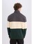 Relax Fit Dik Yaka Fermuarlı Baskılı Kalın Sweatshirt D2562AX24AU 9