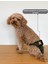 Haki Dişi Köpek Külotları - 3'lü Avantajlı Paket | Su Geçirmez ve Yıkanabilir Dişi Köpek Külotu | Dönemi ve Için Mükemmel 3