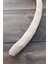 Venty (Gürgen) Şekillendirilmiş Papağan Tüneği 40 cm | Jako, Amazon, Eklektus, Alex, Sultan - T215 | Ayak Kaslarını Destekleyici 3