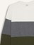 Regular Fit Bisiklet Yaka Renk Bloklu Jakarlı Sweatshirt D5393AX24AU 8