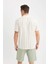 Regular Fit Polo Yaka Çizgili Yazlık Kısa Kollu Gömlek D7660AX25SP 6