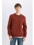 3 İplik Pamuklu Şardonlu İçi Polarlı Regular Fit Bisiklet Yaka Kalın Sweatshirt D7876AXNS 8