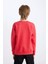 Erkek Çocuk Kırmızı Bisiklet Yaka Atatürk Baskılı Sweatshirt D8202A824WN 9
