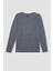 Regular Fit Bisiklet Yaka Casual Basic Düz Uzun Kollu Tişört D7482AX24AU 6
