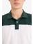 %100 Pamuk Regular Fit Polo Yaka Bloklu Kısa Kollu Tişört D7940AX25SP 7