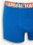 Regular Fit 3'lü Boxer D9874AX25SP 6