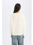 Regular Fit Bisiklet Yaka Basic Düz Triko Kazak D0035AX24WN 6
