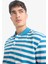 %100 Pamuk Regular Fit Polo Yaka Kısa Kollu Çizgili Nakışlı Pike Tişört E2631AX25SM 6