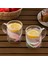 16792 Double Feather Çift Cidarlı Kupa 2 Adet 300 ml 2
