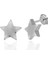 Gümüş Yıldız Çivili Kadın Küpe 1