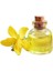 Meyan Kökü Yağı 10 ml 1