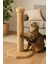 Pet Sekizgen Kedi Tırmalama Platformu Vizon 2