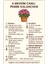 Saksıda Şeker Pembe Kalanchoe 6