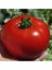 Meşhur Falkon Domates Tohumu 10 Adet Ekim Seti 4