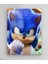 Sonic Temalı Metal Tablo Model 1 2
