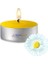 20 Li Papatya Kokulu Tealight Mum 1