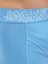 Jack Jones Premium Kemerli Erkek 3 Lü Boxer 12277585 5