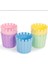 Akasya Kaktüs Saksı Pastel Mix 5,5 1
