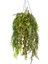 Askılı Saksıda Sarmaşık Yeşil 120 Cm. 3