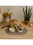 Gri Kedi Servis Altlığı 50X30 Cm, Şık ve Kullanışlı Kedi Beslenme Paspası 1