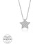 Swarovski Taşlı Gümüş Yıldız Bayan Kolye 1