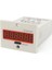 Dijital Sayıcı Resetli 6 Hane 24VDC MCN-22607 1