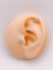 Cerrrahi Çelik Piercing ( Pirsing ) Tek Taşlı Arı Figürlü Tragus Helix Piercing (1ADET) 1