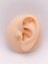 Cerrrahi Çelik Piercing ( Pirsing ) Zirkon Kelebek Tragus Helix Piercing (1ADET) 1