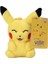 Pikachu Bebek Koda Duck Peluş Oyuncak Pokémon Kolye Tılsımı (Yurt Dışından) 1