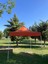 3x3 Gazebo\portatif Çardak Takım 2