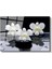 Plumeria Çiçeği - Spa Konseptli Aromaterapi Cam Tablo 2