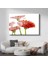 Kırmızı Gerbera - Beyaz Fonda Minimalist Tasarım Cam Tablo 1
