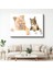 Dostluk Köprüsü - Kedi ve Köpek Ikilisi Cam Tablo 1