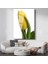 Sarı Lale - Çiy Damlalı Minimalist Çiçek Portresi Cam Tablo 1