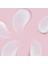 Vegan Bakuchiol Besleyici Krem 50 ml (Retinole Alternatif) 8