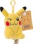 Bebek Pikachu Anahtarlık Kolye Pokémon Moe Pokemon Genie Kaplumbağa Küçük Ateş Ejderhası (Yurt Dışından) 1
