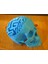 Özelleştirilebilir Stereografik Kafatası (Sadece Plastik Aparattır!!!) 3D 3