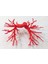 Pulmoner Arterler (Insan) (Sadece Plastik Aparattır) 3D 2