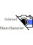 Direksiyon Pompası Boxer-Transıt V347 2.2hdı 1