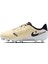 Jr Legend 10 Academy Fg/mg Çocuk Krampon DV4348-700 2