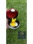 Pokemon Poke Ball (Pikachu Hediyeli) 1