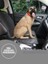 Araba Oto Araç Koltuk Kılıfı Örtüsü Sıvı Su Geçirmez Evcil Hayvan Kedi Köpek Ön Koltuk Örtü (1 Adet) 3