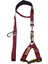 Köpek göğüs tasması minik ırk gezdirme kayışlı set göğüs ölçüsü:25-35cm ayarlamalı gezdirme kayışı:120cm dog harness TB3-8 8