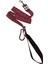 Köpek göğüs tasması minik ırk gezdirme kayışlı set göğüs ölçüsü:25-35cm ayarlamalı gezdirme kayışı:120cm dog harness TB3-8 9