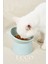 Eğimli Mama Kabı, Mavi, Ergonomik ve Sağlıklı Tasarım, Kedi ve Köpekler Için 4